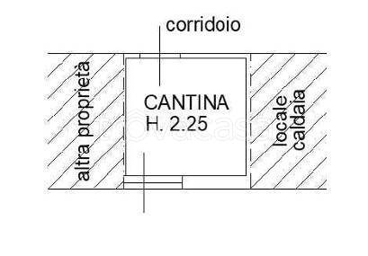 immagine annuncio 13 di 14