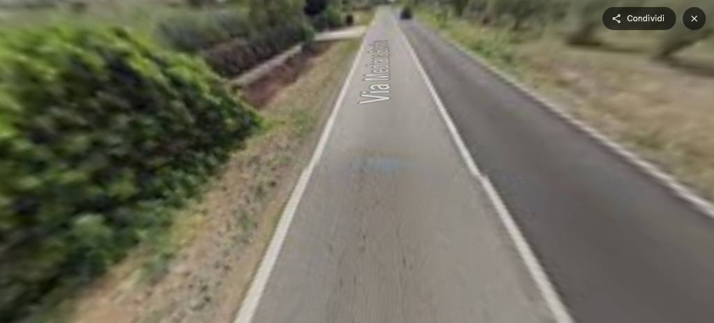 immagine annuncio 2 di 14