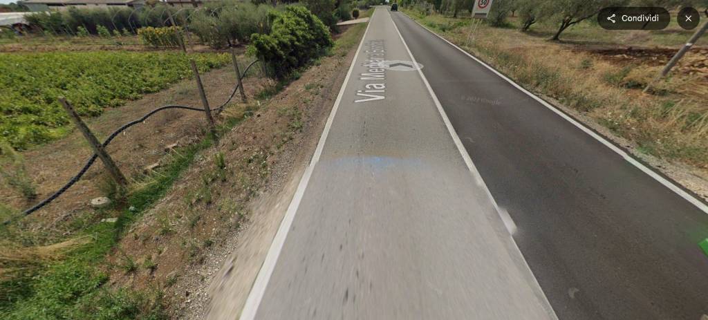 immagine annuncio 3 di 14