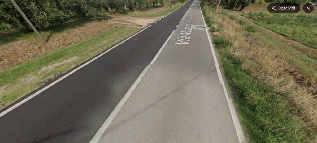 immagine annuncio 12 di 14
