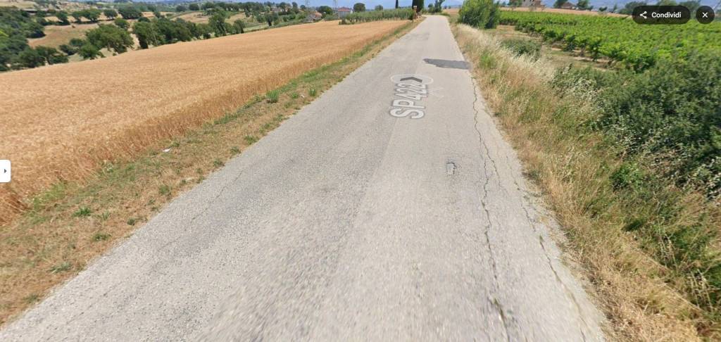 immagine annuncio 4 di 11