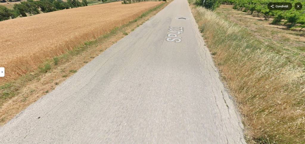 immagine annuncio 6 di 11