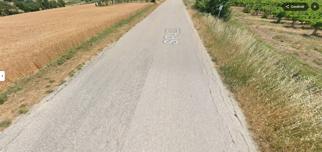 immagine annuncio 7 di 11