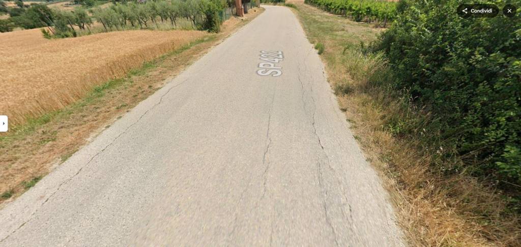 immagine annuncio 8 di 11