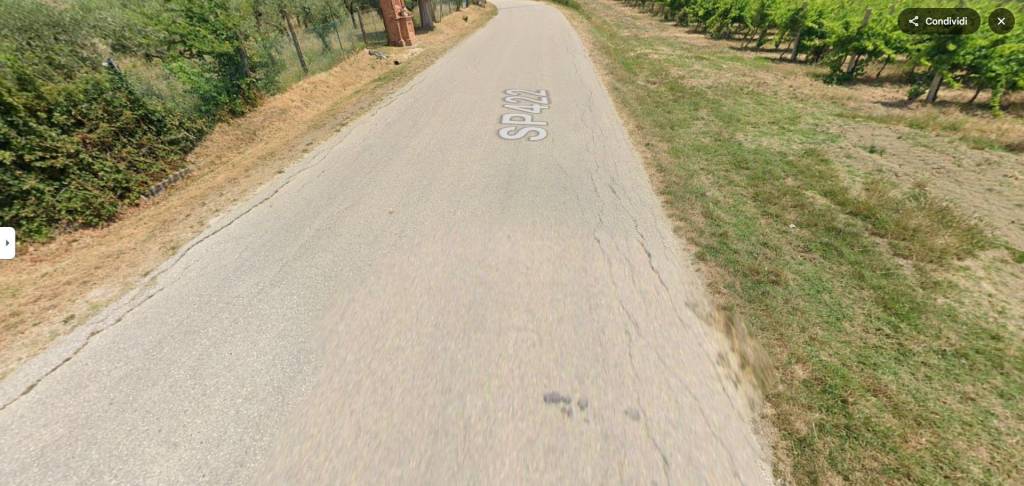 immagine annuncio 10 di 11
