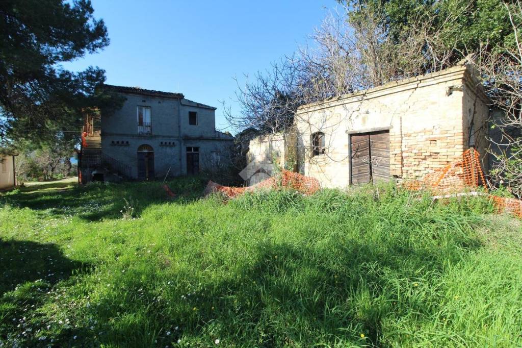 immagine annuncio 1 di 13
