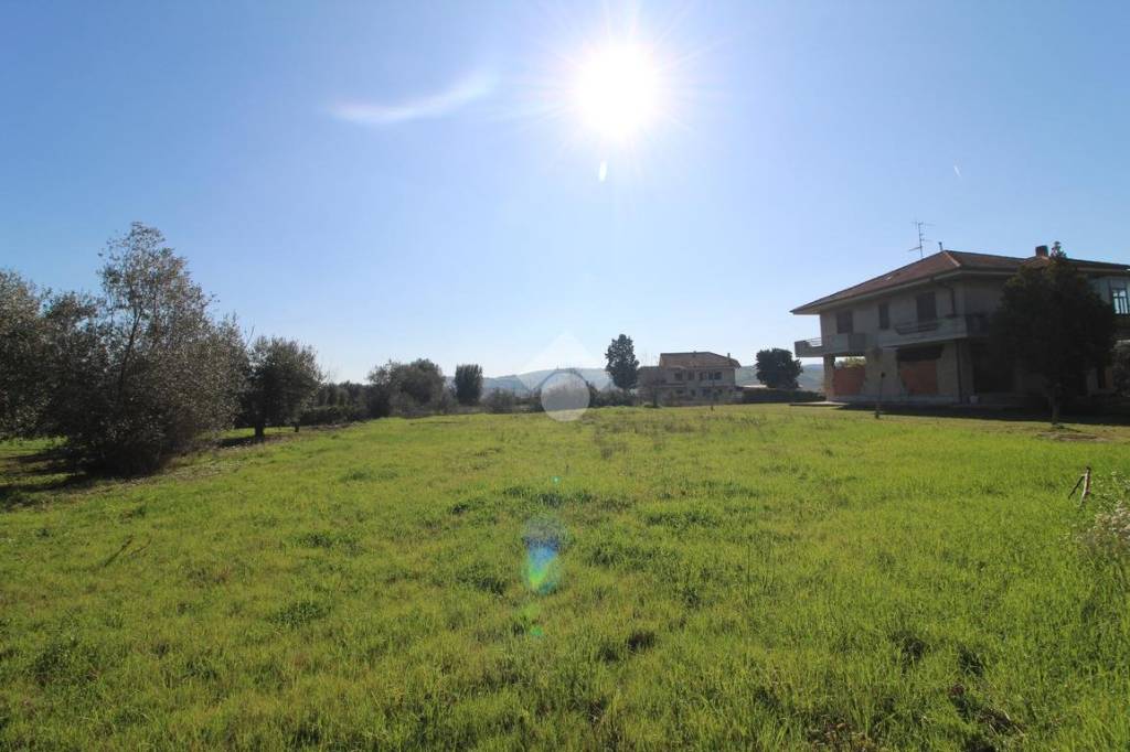 immagine annuncio 9 di 13