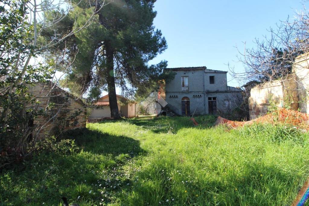immagine annuncio 11 di 13