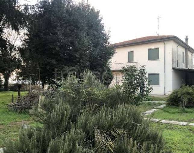 immagine annuncio 6 di 14