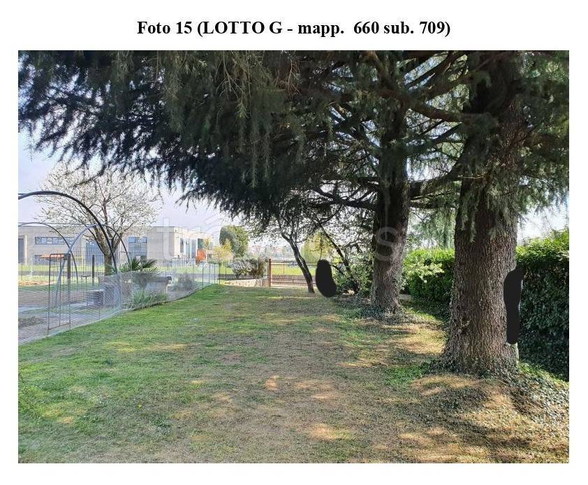 immagine annuncio 8 di 12