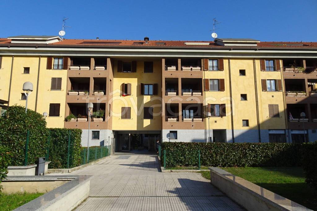 immagine annuncio 2 di 15