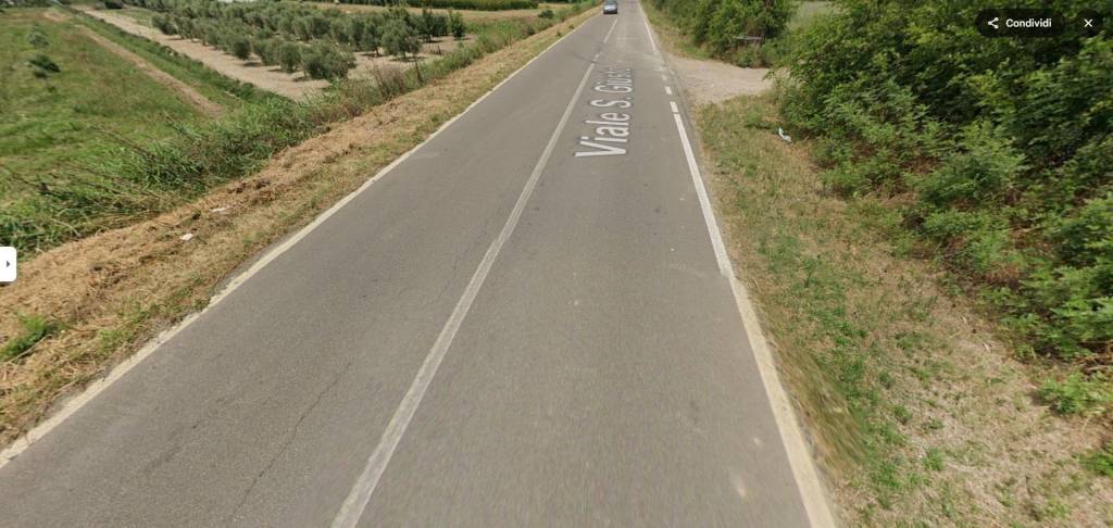 immagine annuncio 4 di 14