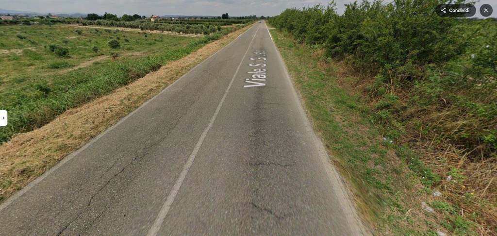 immagine annuncio 8 di 14