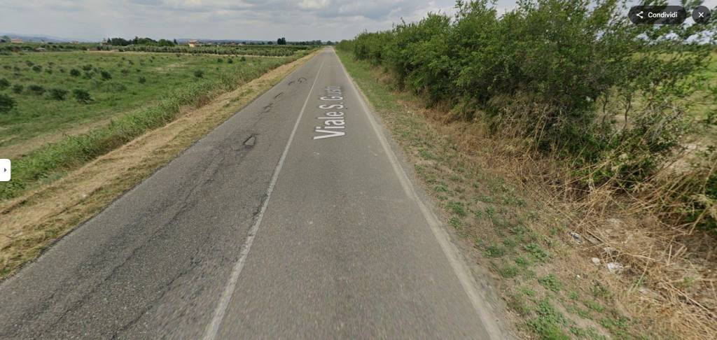 immagine annuncio 11 di 14