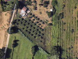 Terreno agricolo in vendita a terni 
