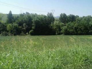 Terreno agricolo all'asta a monte san pietro loc. monte san pietro