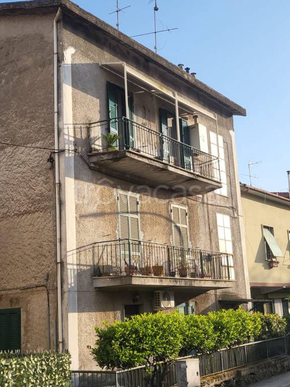 immagine annuncio 2 di 14