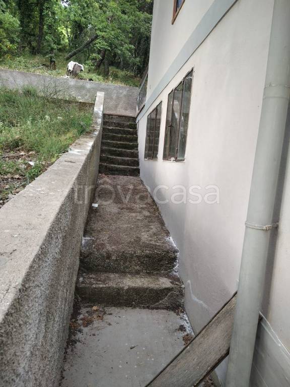 immagine annuncio 3 di 6