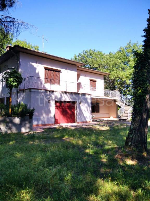 immagine annuncio 5 di 6
