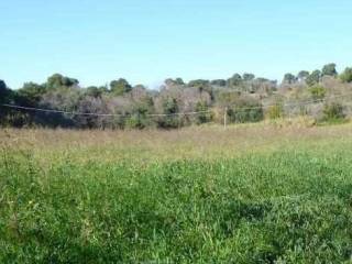 Terreno agricolo all'asta a pesaro via palmanova