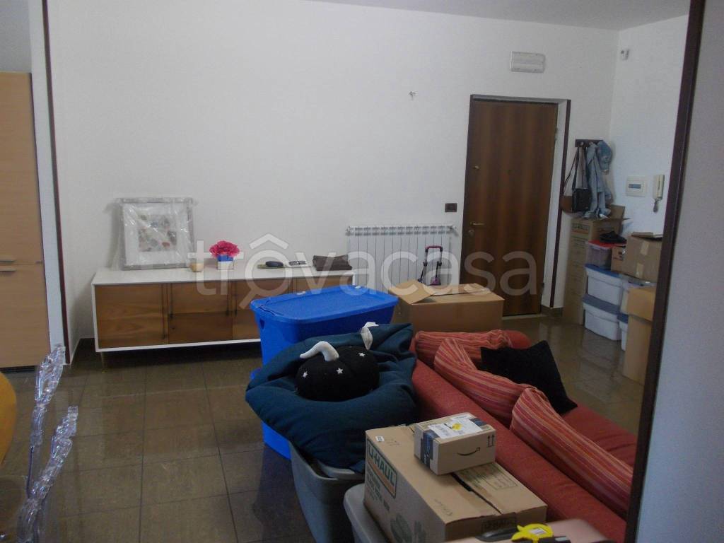 immagine annuncio 12 di 14