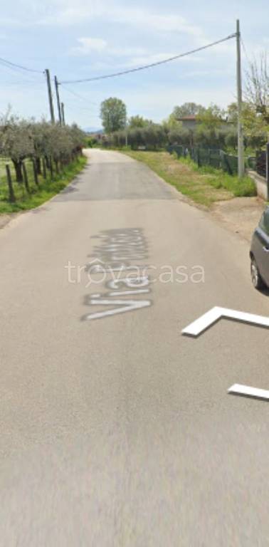 immagine annuncio 5 di 11