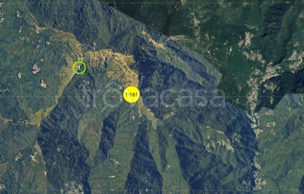 immagine annuncio 10 di 14