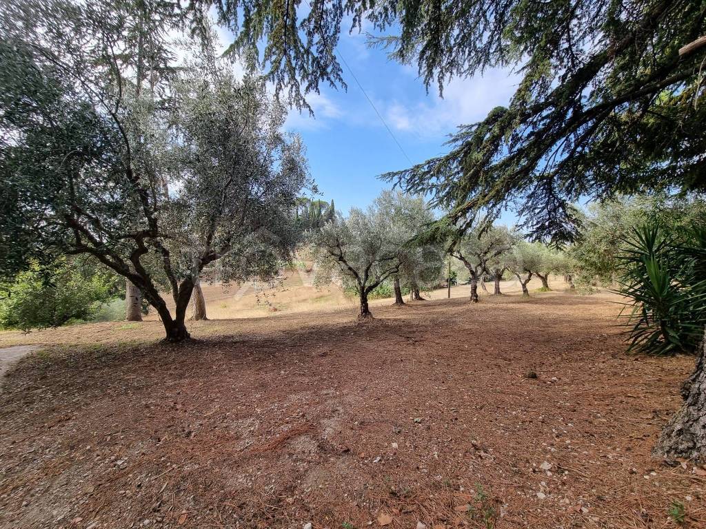 immagine annuncio 2 di 11