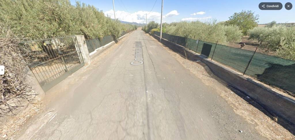 immagine annuncio 4 di 11