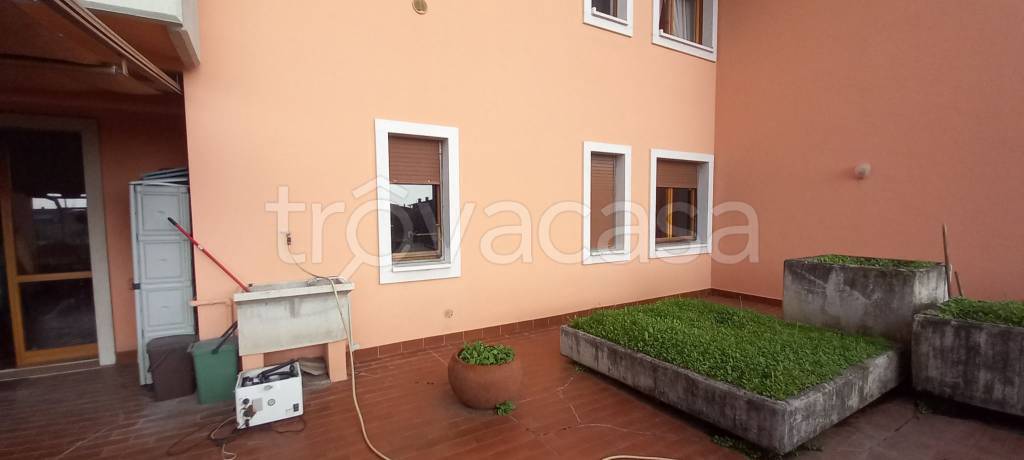 immagine annuncio 9 di 13