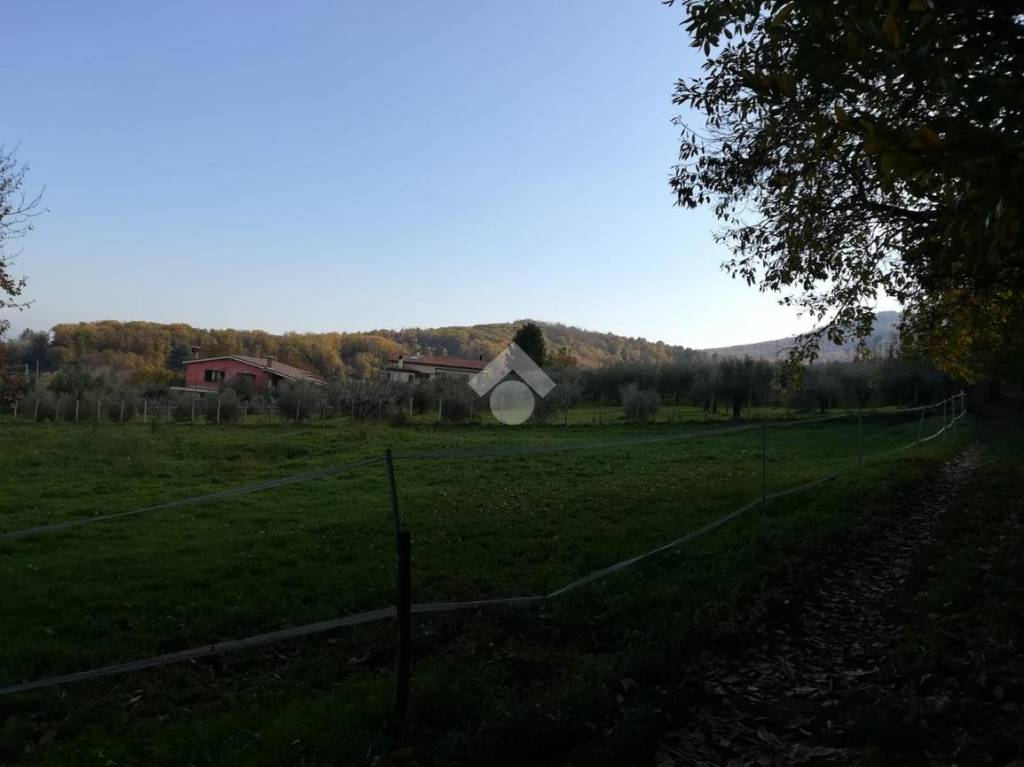 immagine annuncio 6 di 12