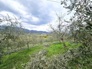 Terreno agricolo in vendita a reggello località rona di sopra