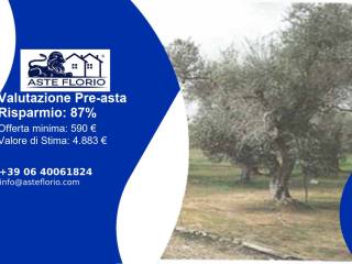 Terreno agricolo all'asta a scorrano ss275