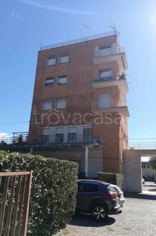 immagine annuncio 5 di 14