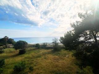 Appartamento in vendita a cetraro viale degli oleandri, 4