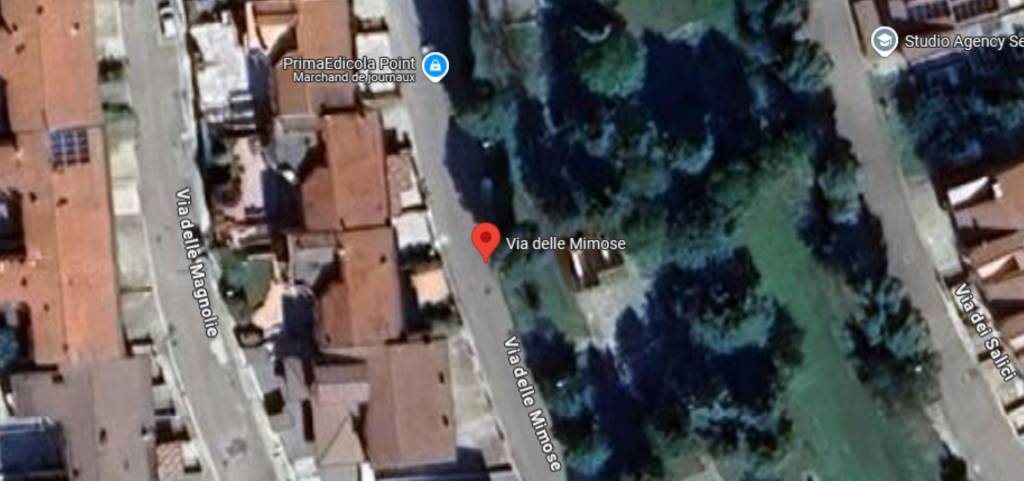 immagine annuncio 3 di 10