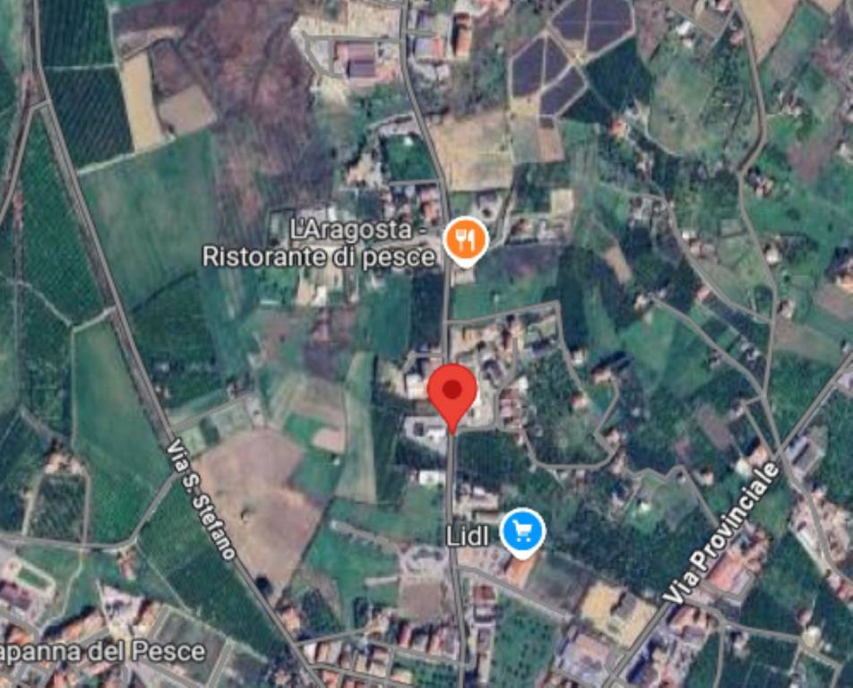 immagine annuncio 10 di 13