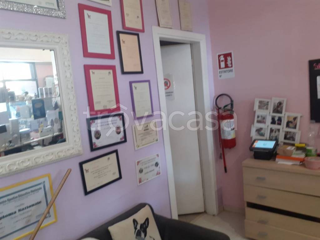 immagine annuncio 6 di 14