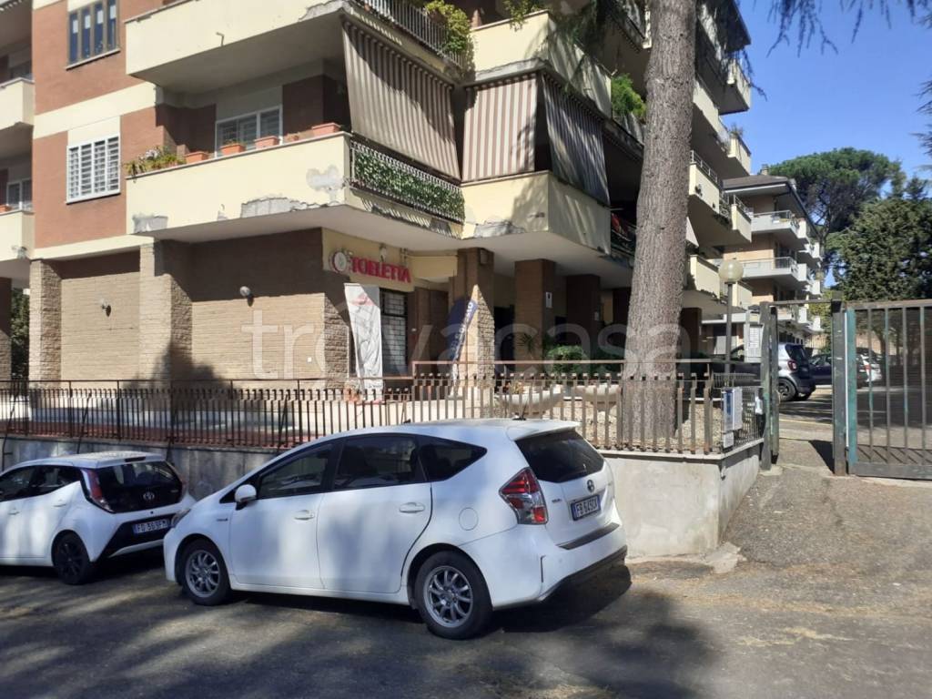 immagine annuncio 11 di 14