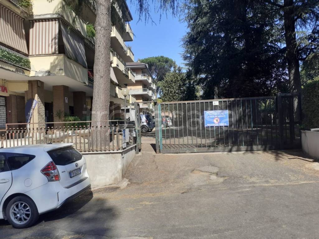 immagine annuncio 10 di 14