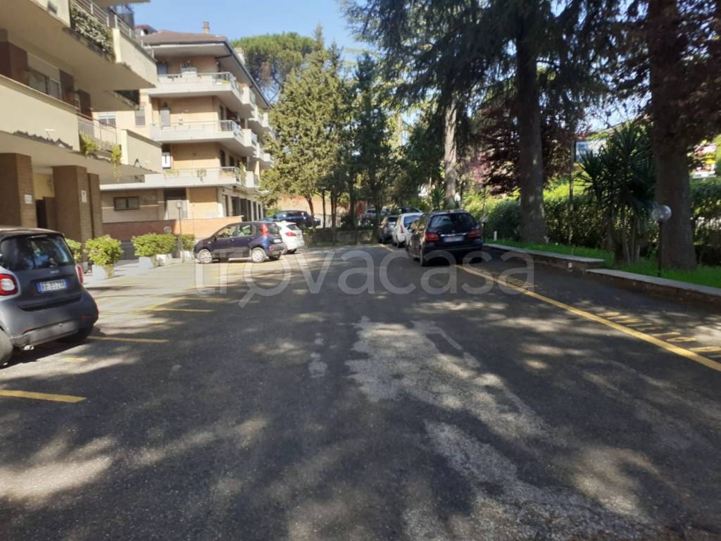 immagine annuncio 12 di 14