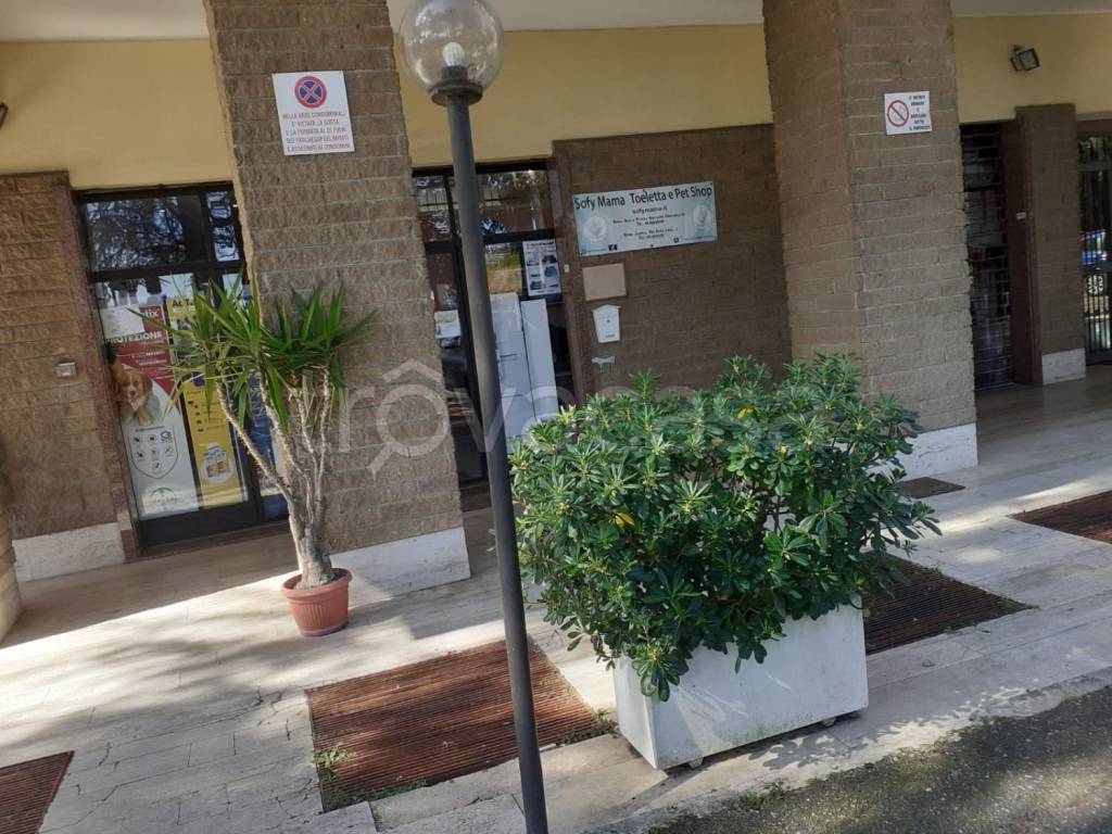immagine annuncio 1 di 14
