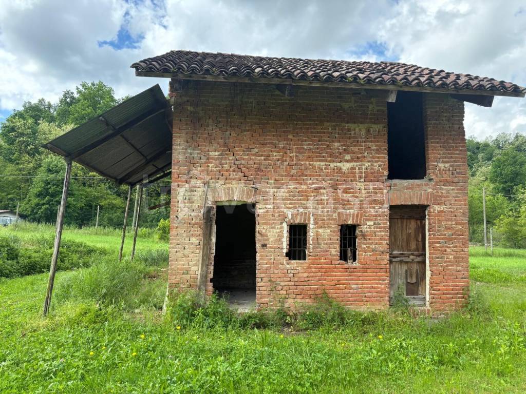immagine annuncio 14 di 15