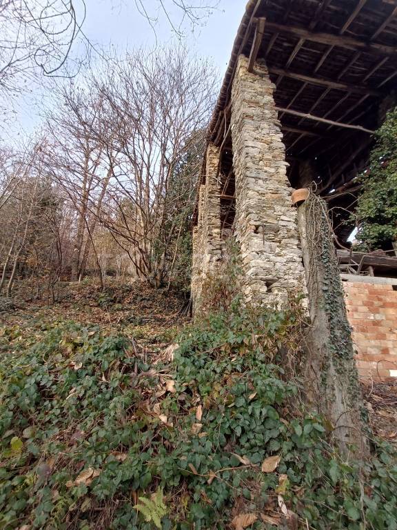 immagine annuncio 2 di 11