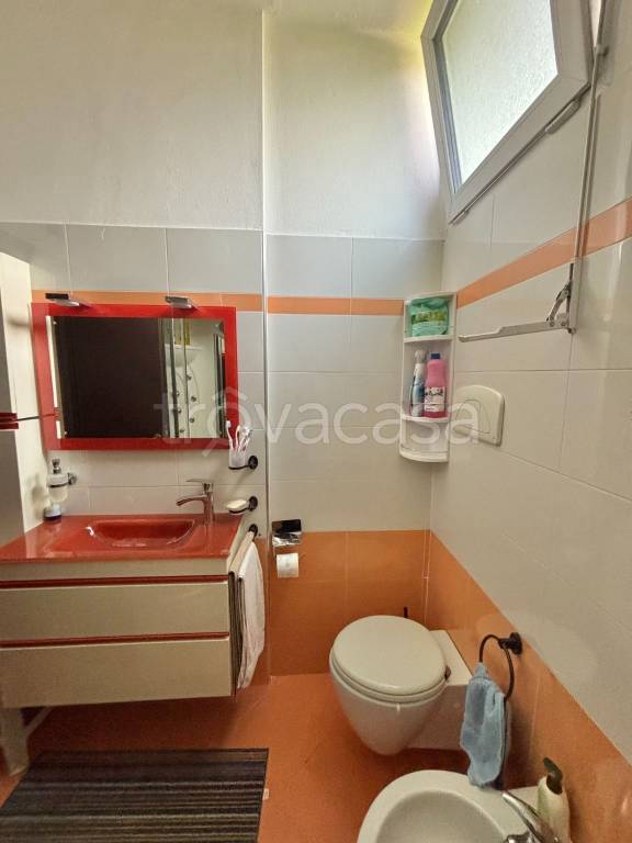 immagine annuncio 10 di 14