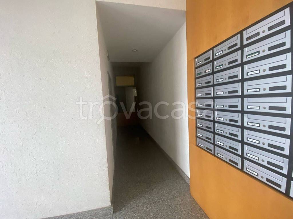 immagine annuncio 7 di 13