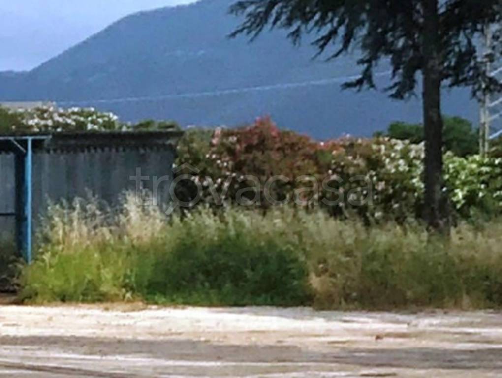 immagine annuncio 8 di 12