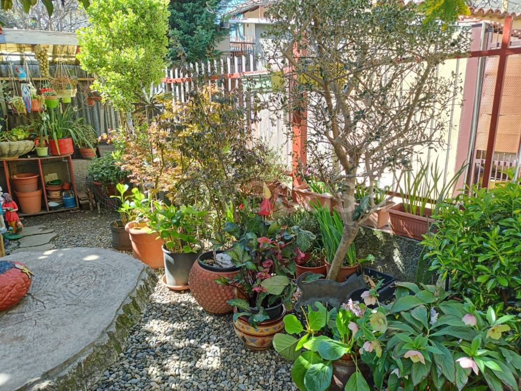 immagine annuncio 6 di 15