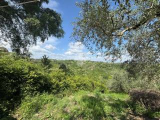 Terreno residenziale in vendita a morlupo via del sagittario