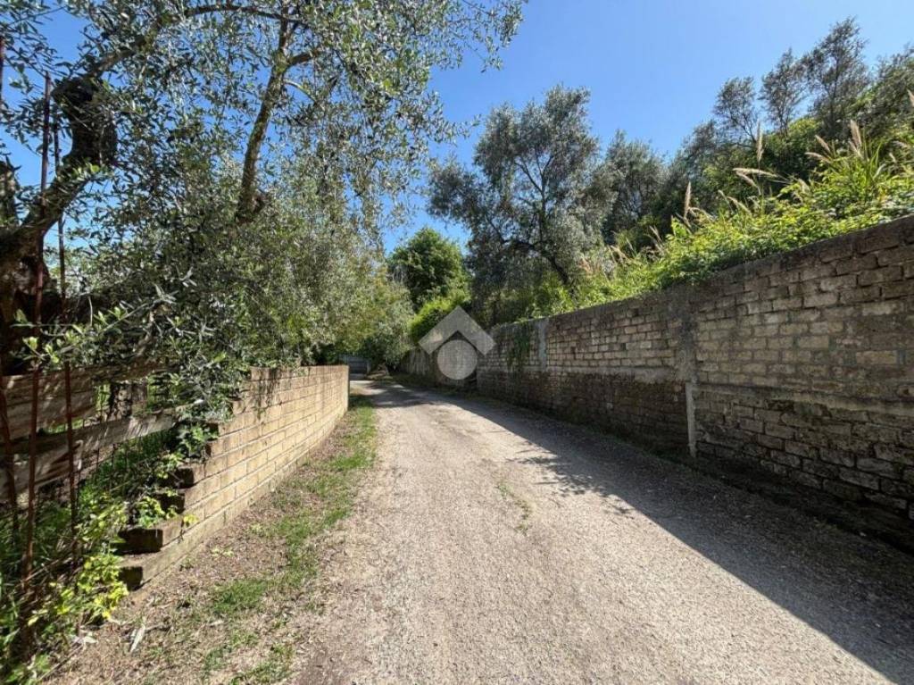 immagine annuncio 10 di 14